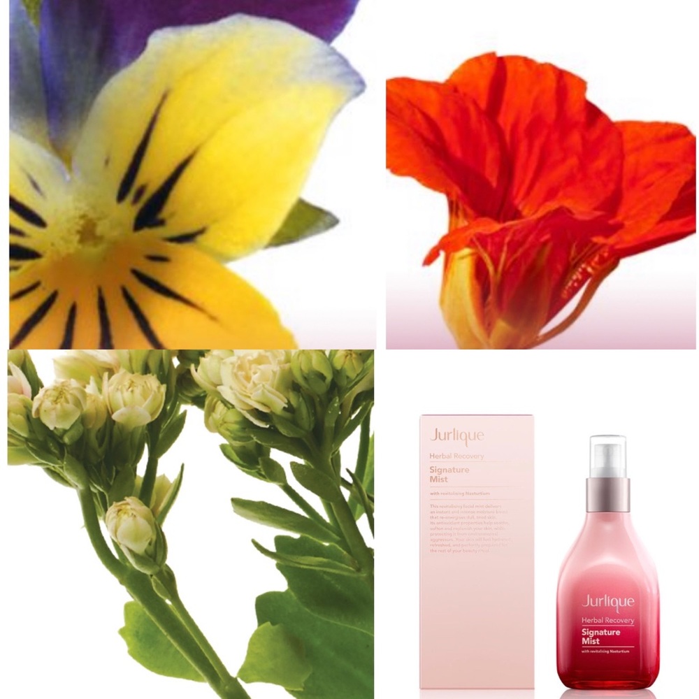 🌼NIB- Jurlique Skin Mist
